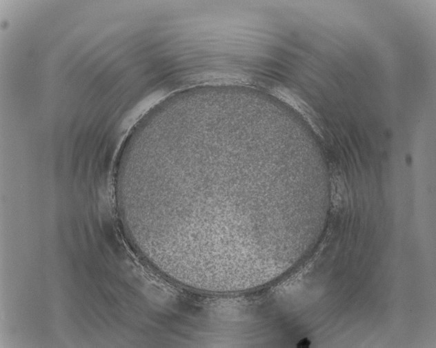 X0000073451074200608111344