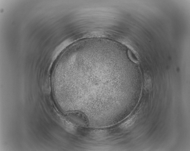 X0000073451075200608111344