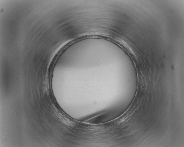 X0000073451076200608111344