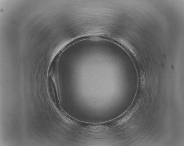 X0000073451077200608111344