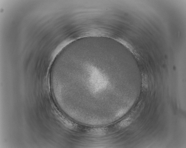 X0000073451078200608111344