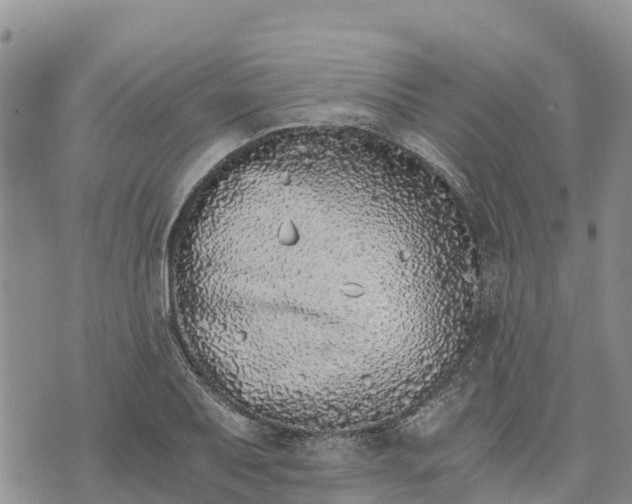 X0000073451079200608111344