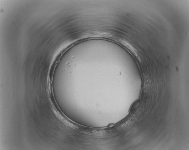 X0000073451080200608111344