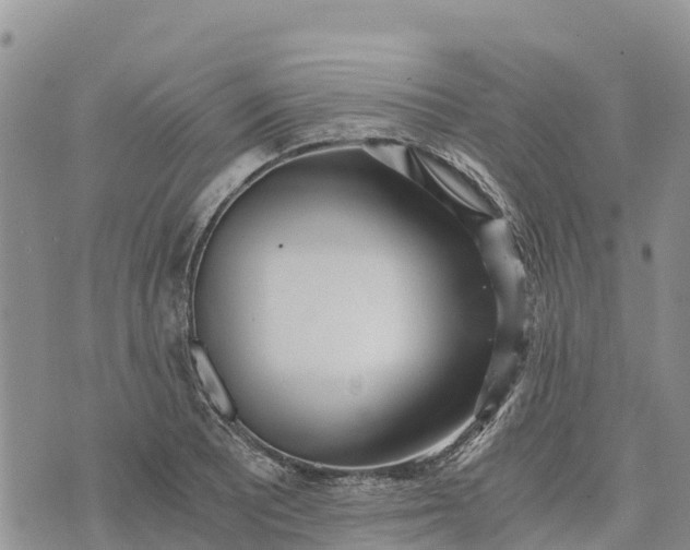 X0000073451081200608111344