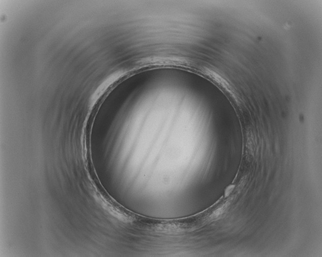 X0000073451082200608111344