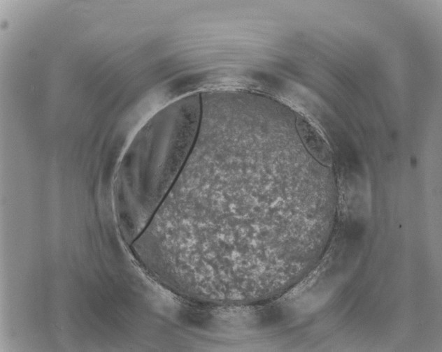 X0000073451083200608111344