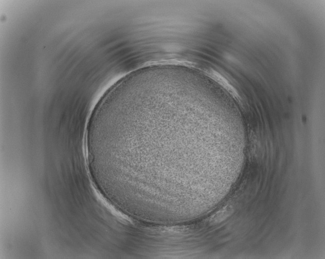 X0000073451084200608111344