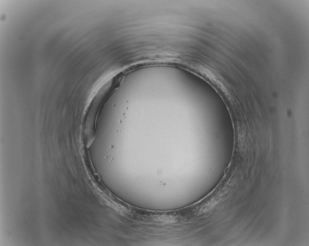 X0000073451085200608111344