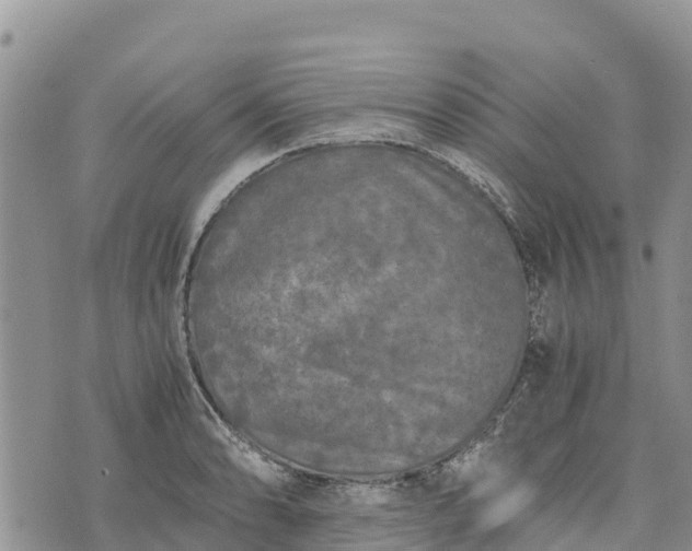 X0000073451086200608111344