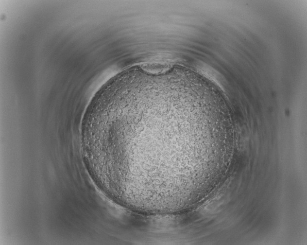 X0000073451087200608111344