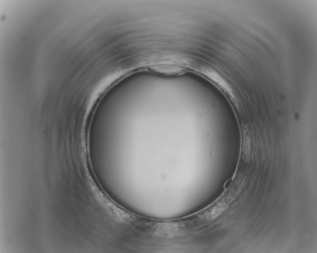 X0000073451088200608111344