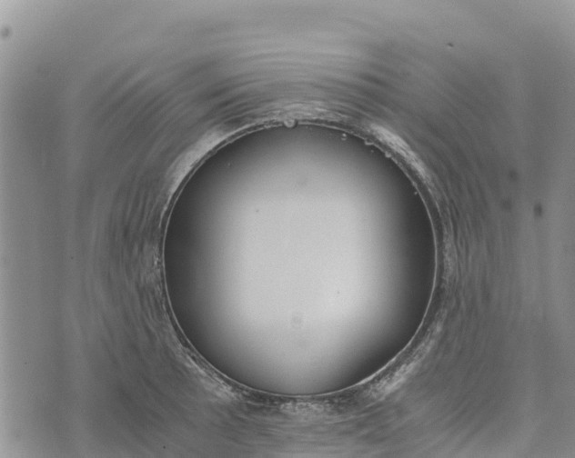 X0000073451089200608111344