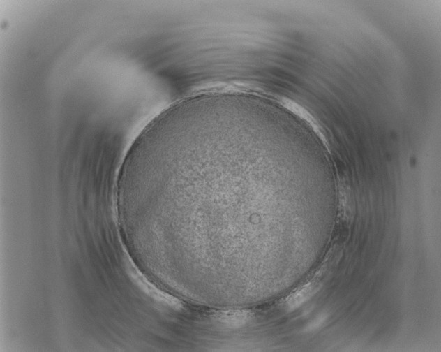 X0000073451090200608111344