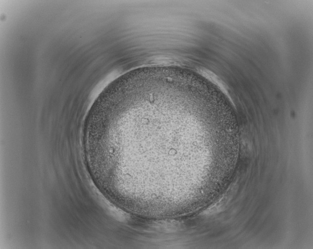 X0000073451091200608111344