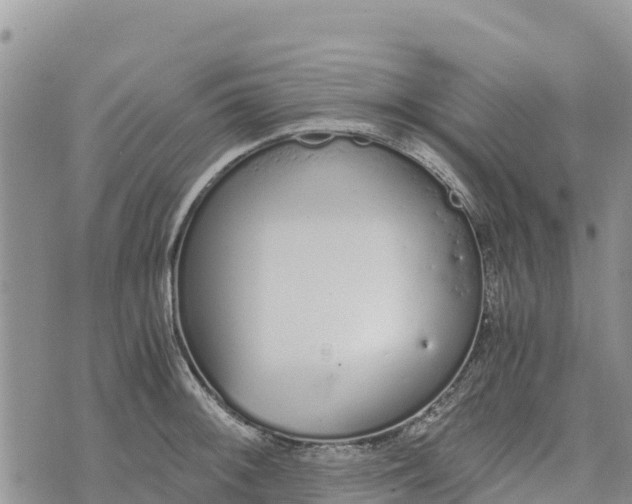 X0000073451092200608111344