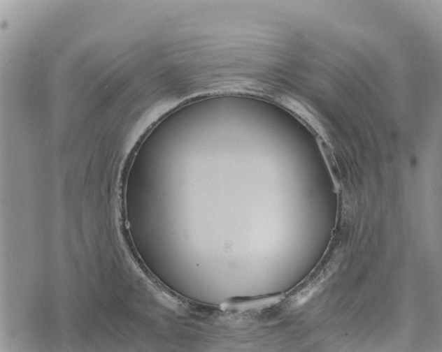 X0000073451093200608111344