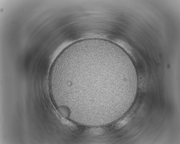 X0000073451094200608111344