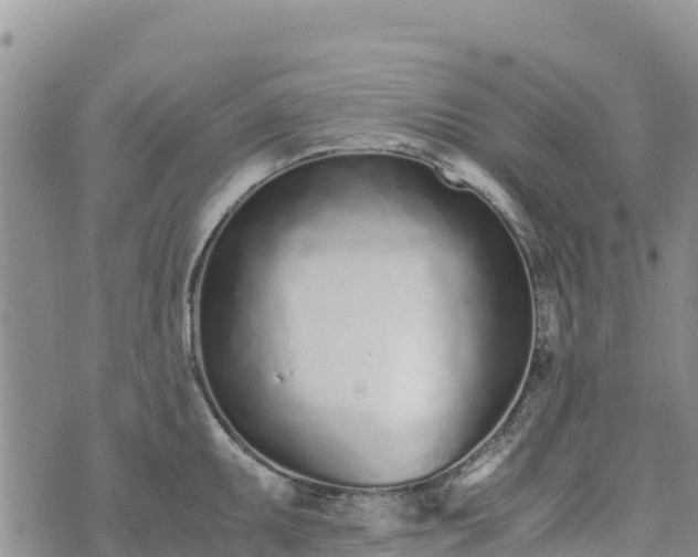 X0000073451095200608111344