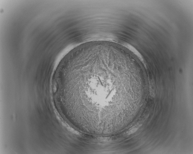 X0000073451096200608111344