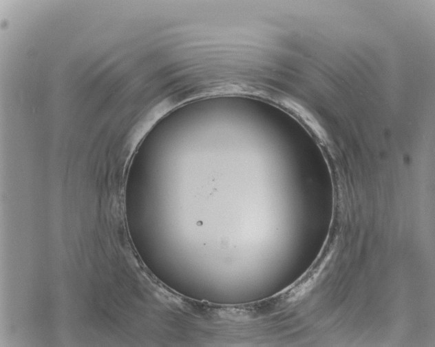 X0000073451097200608111344