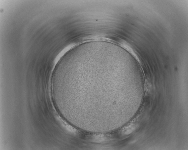 X0000073451098200608111344