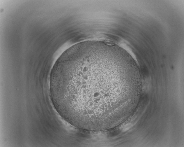 X0000073451099200608111344