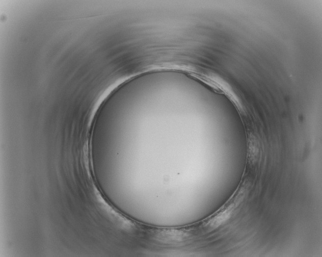 X0000073451100200608111344