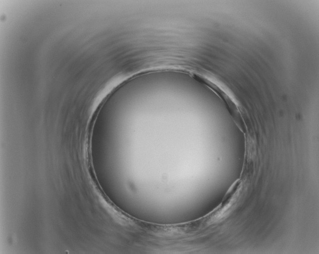 X0000073451101200608111344