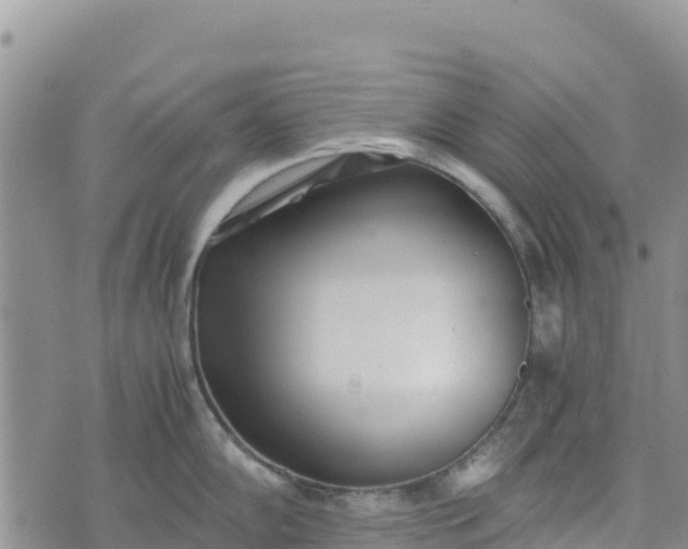 X0000073451102200608111344