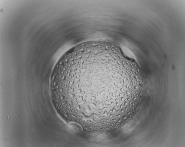 X0000073451103200608111344