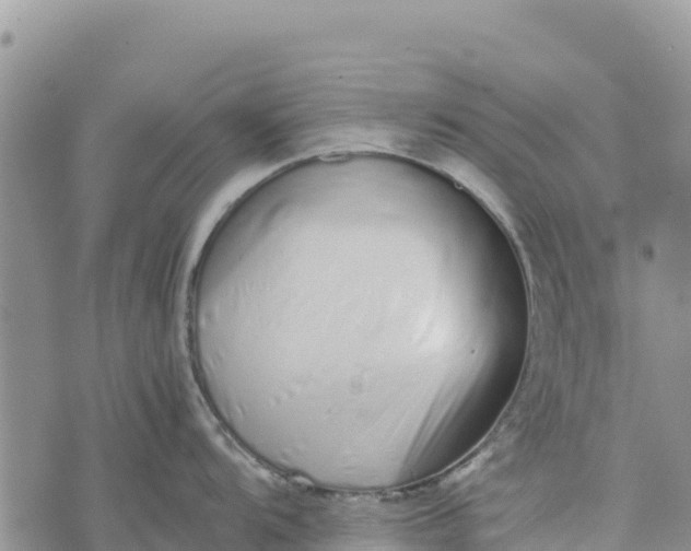 X0000073451104200608111344