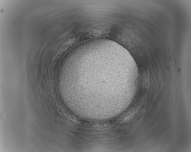 X0000073451105200608111343