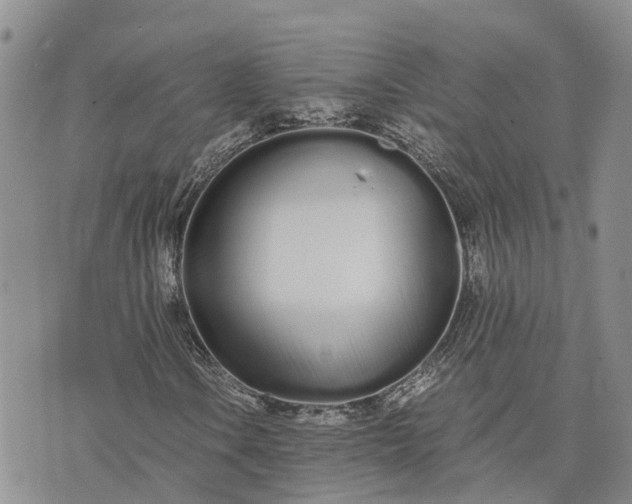 X0000073451106200608111343