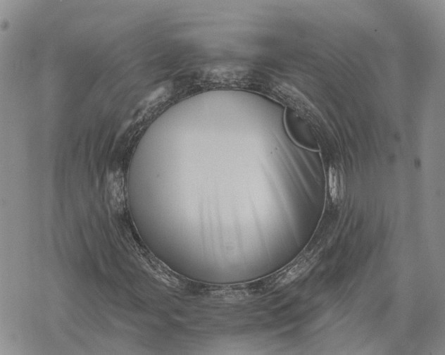 X0000073451107200608111343