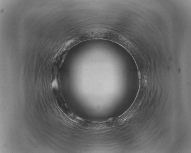 X0000073451108200608111343