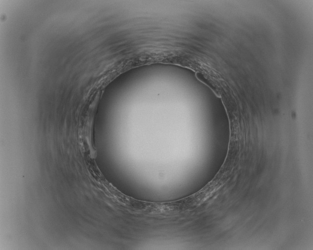 X0000073451109200608111343