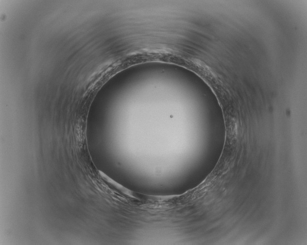 X0000073451110200608111343