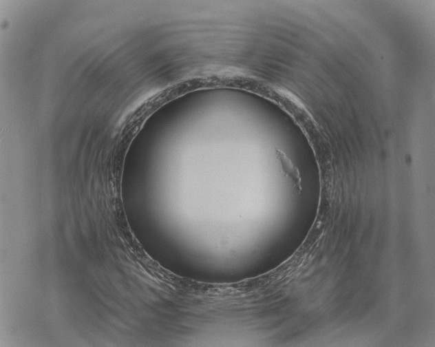 X0000073451112200608111343