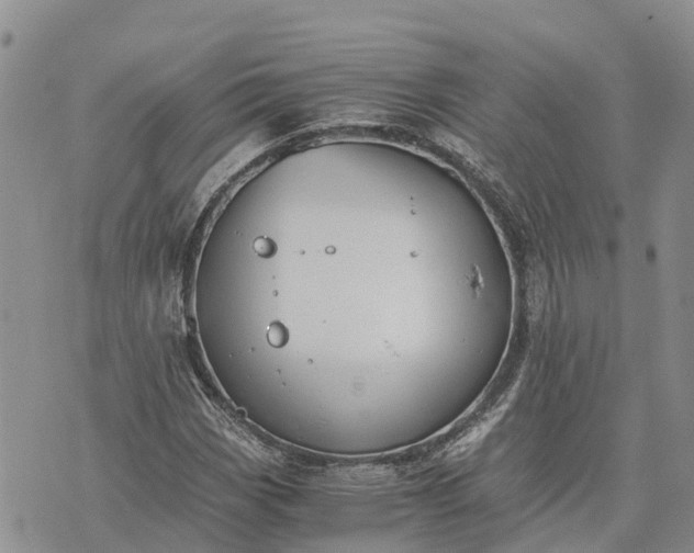 X0000073451113200608111343