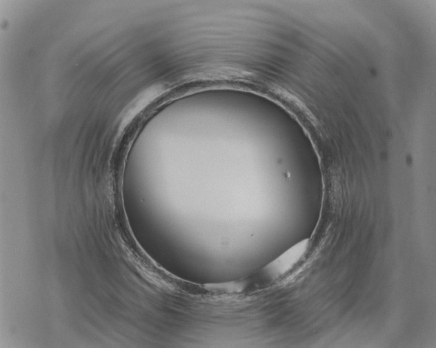 X0000073451114200608111343