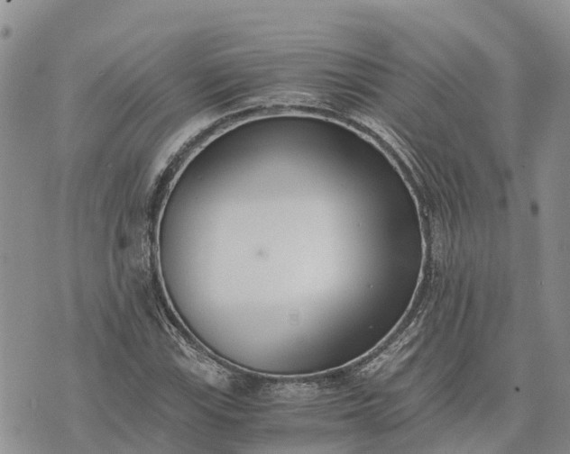 X0000073451115200608111343