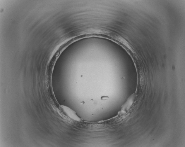 X0000073451116200608111343