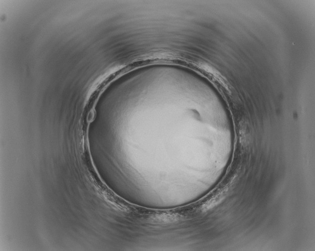 X0000073451117200608111343