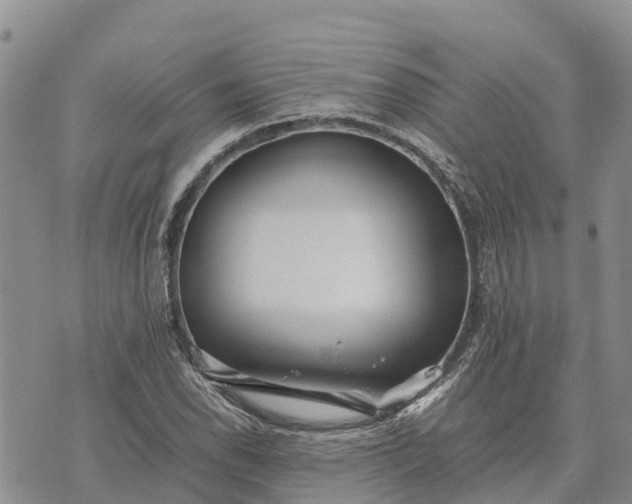 X0000073451118200608111343