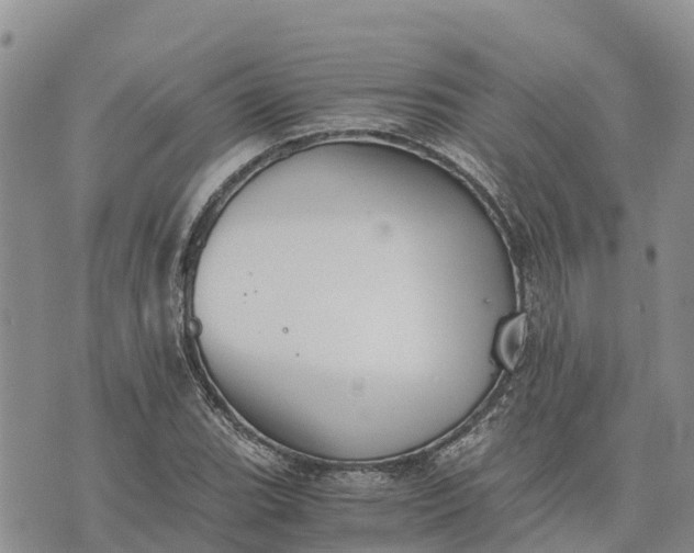 X0000073451119200608111343