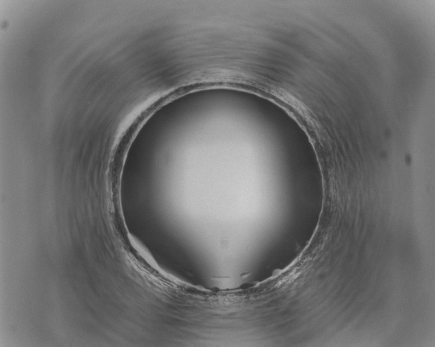 X0000073451120200608111343