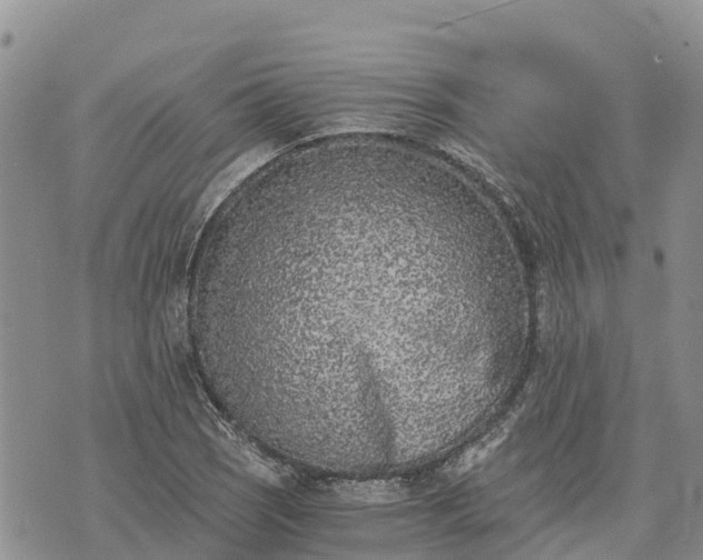 X0000073451121200608111343