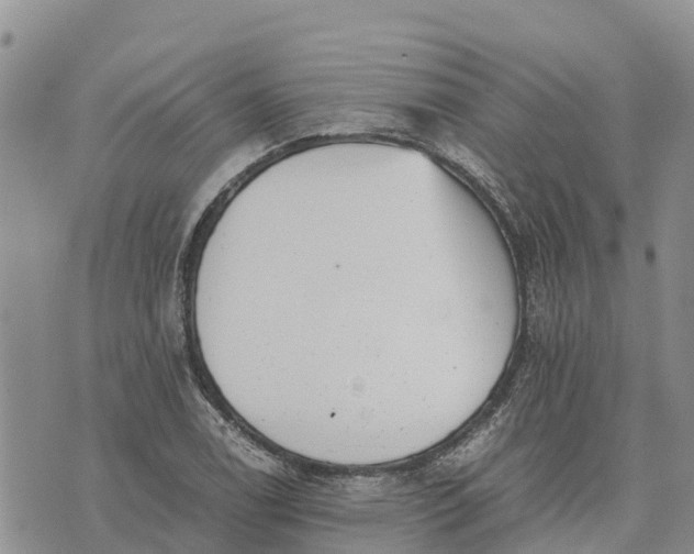 X0000073451122200608111343