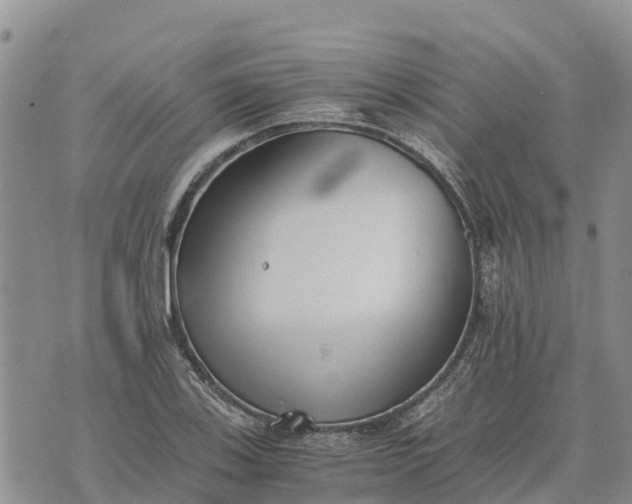 X0000073451123200608111343