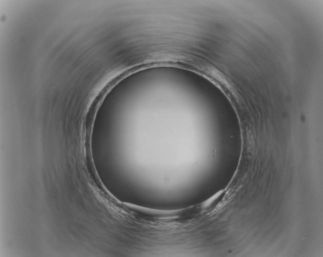 X0000073451124200608111343